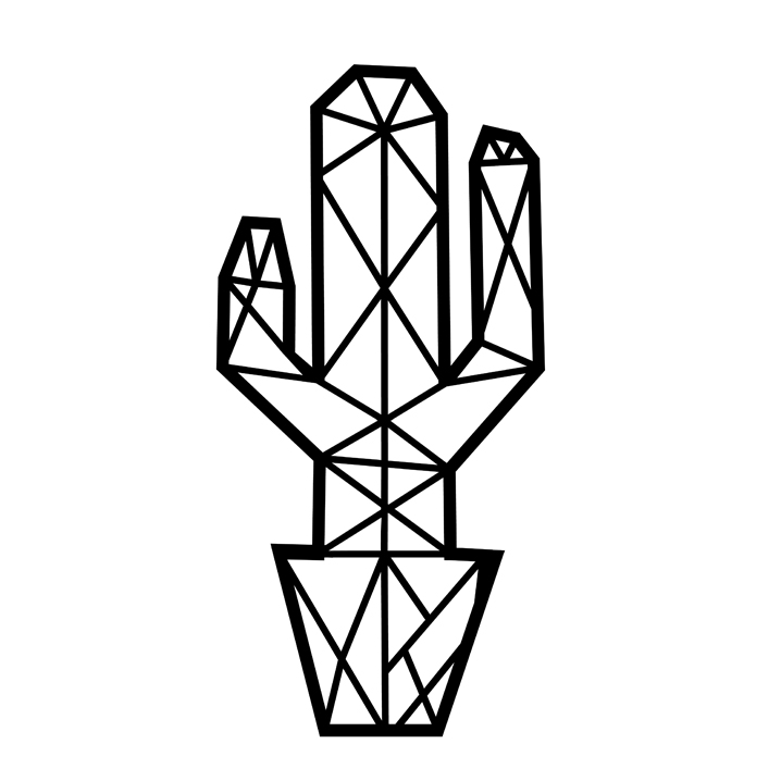 Cactus-geometrico-tipo-1